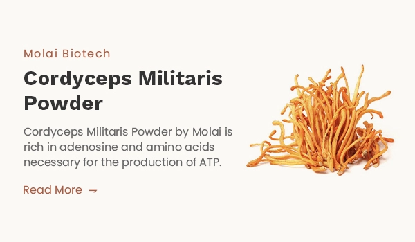 Cordyceps Militaris Mushroom Extract