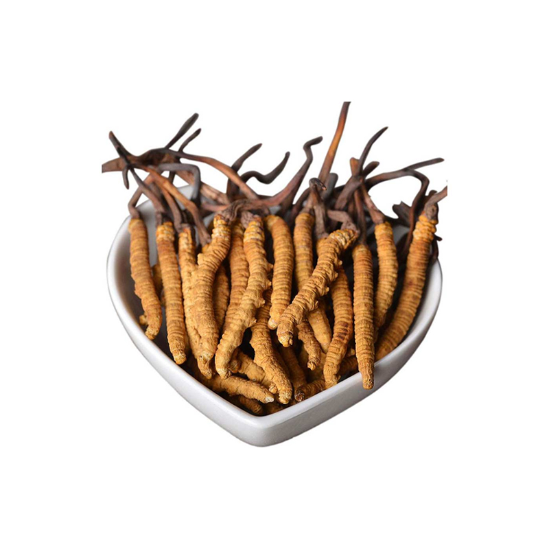 Organic Cordyceps Mushroom Extract Powder - Enhance Vitality & Endurance