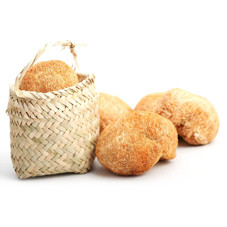 Organic Lion's Mane Extract - Boost Cognitive & Immune Health Naturally