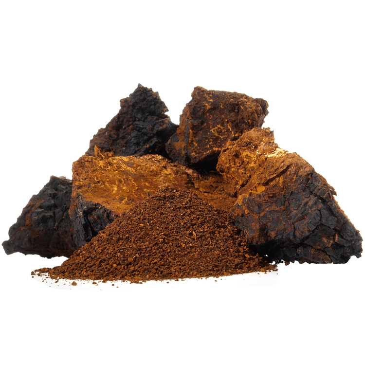 Premium Organic Chaga Mushroom Extract Powder for Immune Support