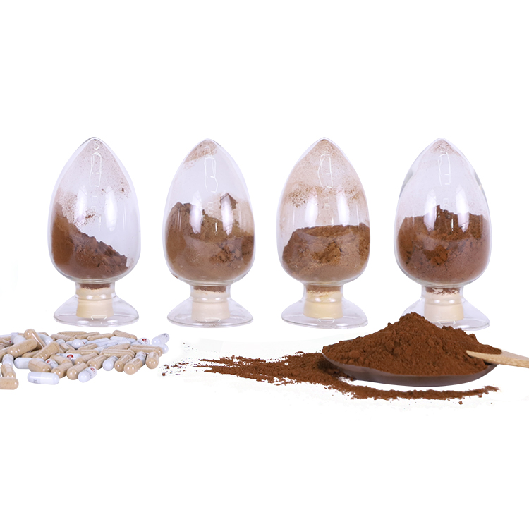 3Organic Chaga/Inonotus Obliquus Mushroom Extract